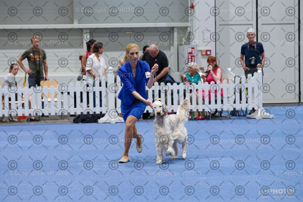 202406_ÖKV-IHA-Tulln24_DSC_3116 | proPHOTO - Realisiert mit Pictrs.com