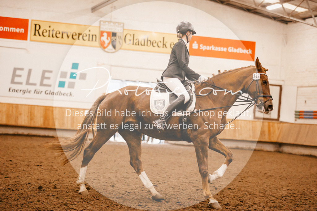 3I6A6467 | Stimmungsvolle Portraits und Reitsportfotografie im Ruhrgebiet und im Münsterland.

Pferdefotografie, Hundefotografie, Tierfotografie, Reportagen, Portraits von Tier und Mensch, Turnierfotografie in Bochum, Recklinghausen, Marl, Haltern am See, Dülmen.. - Realisiert mit Pictrs.com