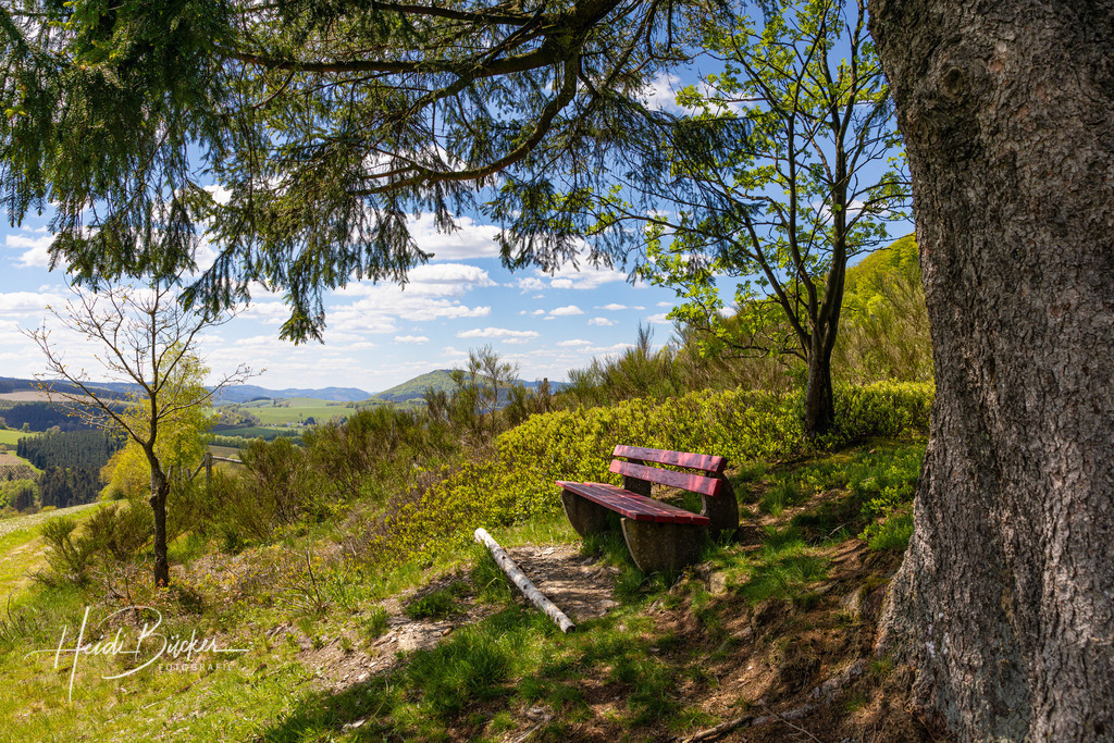 Bank im Hirschberg an der Golddorfroute Oberkirchen | Bank im Hirschberg an der Golddorfroute Oberkirchen - Realisiert mit Pictrs.com