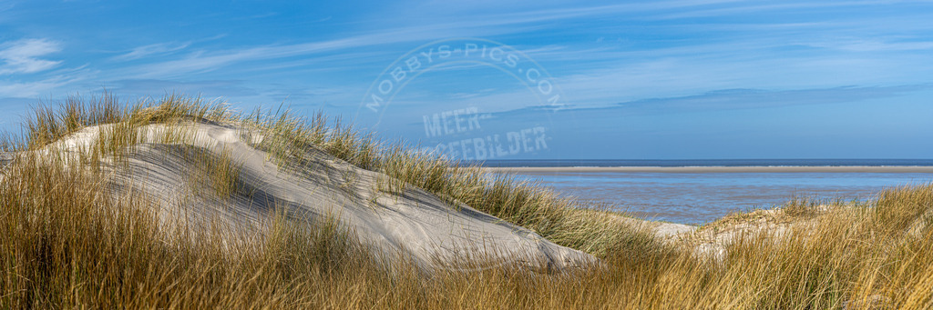 Dünenlandschaft Nordsee | Wanderdüne Nordsee St. Peter-Ording