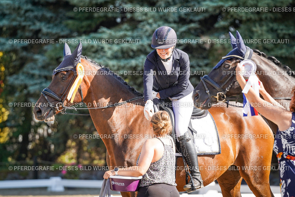 DSC00109 | Pferdegrafie