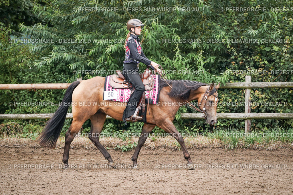 DSC02508 | Pferdegrafie