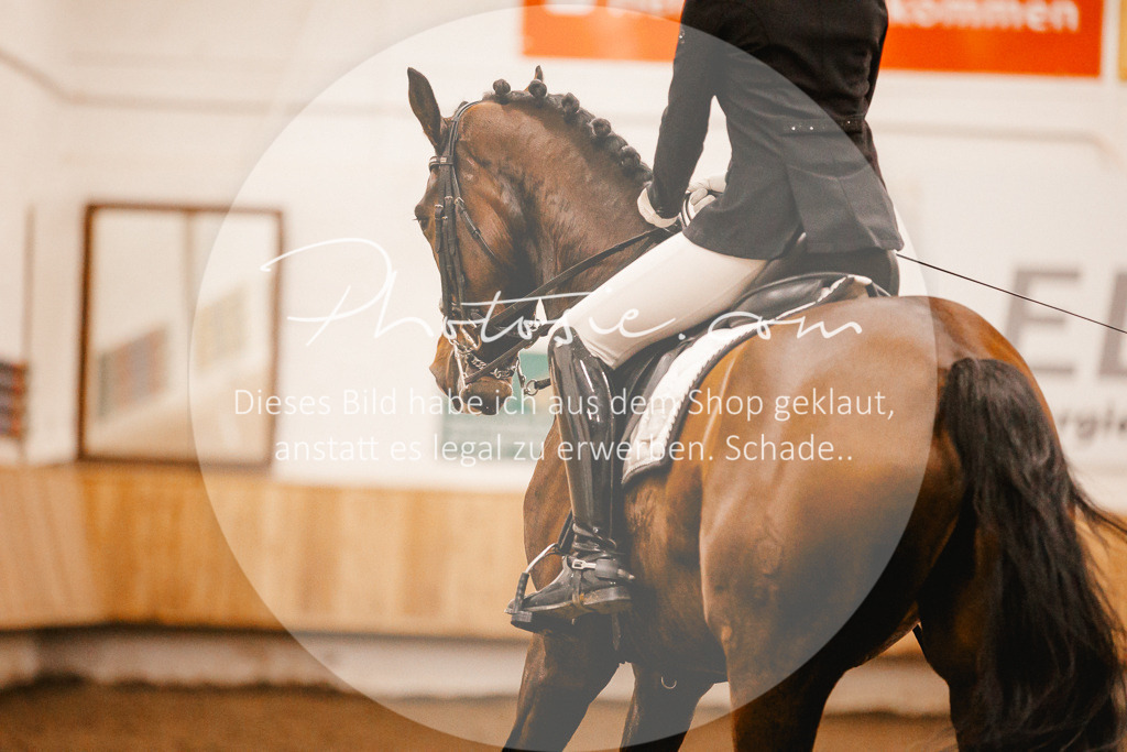 3I6A6960 | Stimmungsvolle Portraits und Reitsportfotografie im Ruhrgebiet und im Münsterland.

Pferdefotografie, Hundefotografie, Tierfotografie, Reportagen, Portraits von Tier und Mensch, Turnierfotografie in Bochum, Recklinghausen, Marl, Haltern am See, Dülmen.. - Realisiert mit Pictrs.com