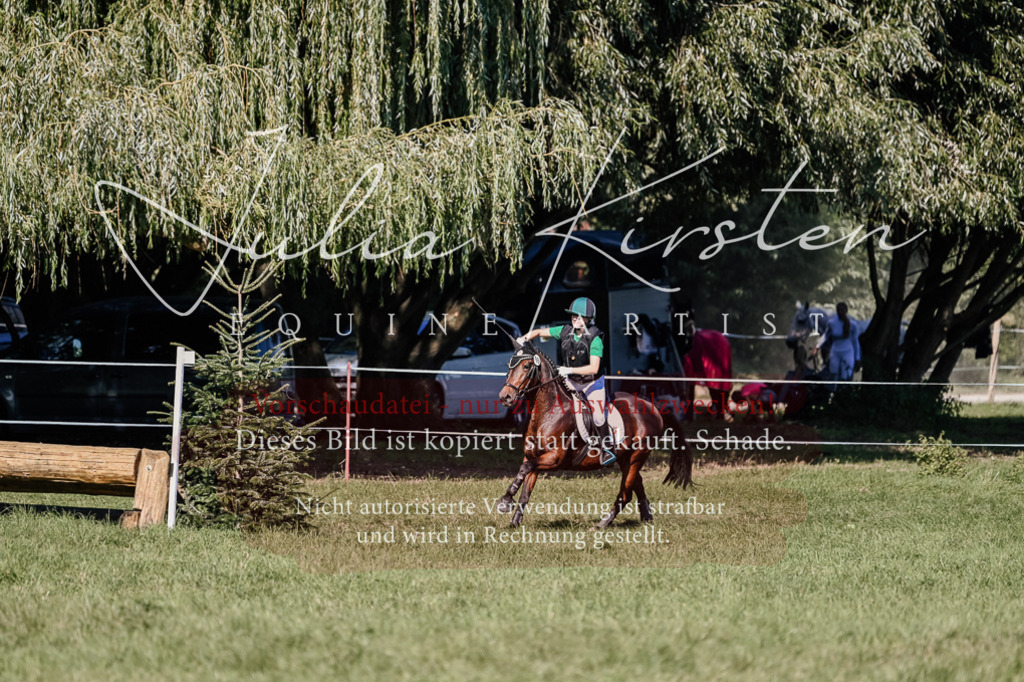 DSC_3616 | Pferde- und Turnierfotografie in Westsachsen. Pferdeportraits, Auftragszeichnungen und intuitive Kunst.