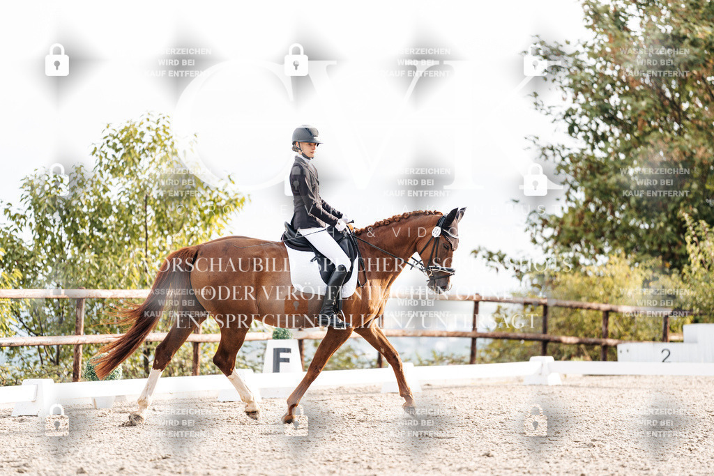 CK900494 | Turnierfotografie Pferdefotografie Trier Rheinland-Pfalz Pferdesport Reitsport Tierfotografie Sportfotografie Pferdevideo Pferdevideografie Equestrianvideography equestrianphotography  - Realisiert mit Pictrs.com