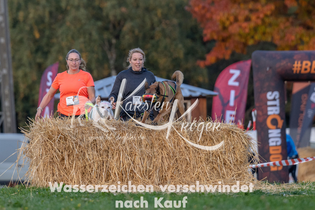 0843_ZZ91215 | kk-dogfotos