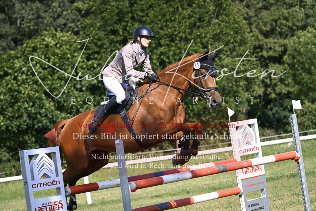 DSC_1295 | Pferde- und Turnierfotografie in Westsachsen. Pferdeportraits, Auftragszeichnungen und intuitive Kunst.