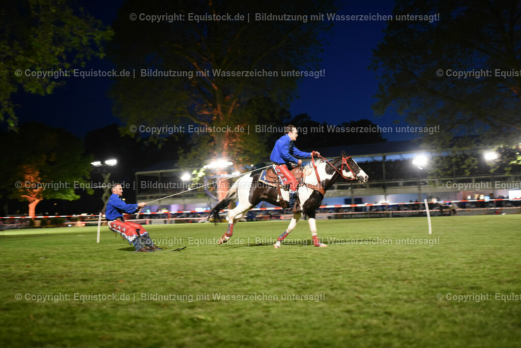 20230526_Pferdenacht_1324 | equistock