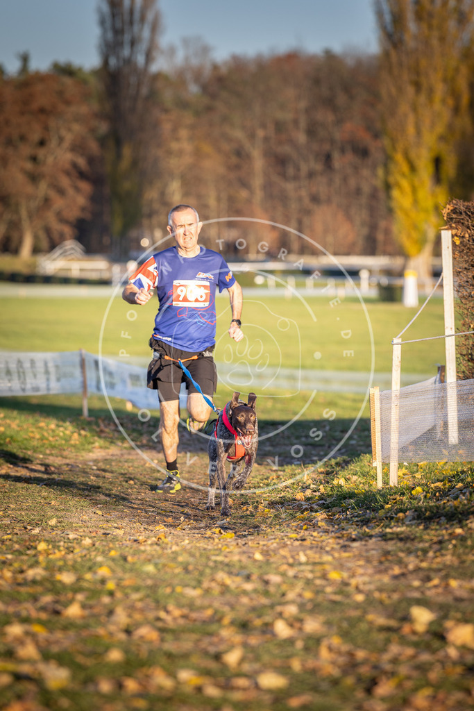 CaniXpix_DV3A4709 | Hundefotografie, Tierfotograf, Pfotenfotografie, Fotoshooting Hund, Hunde Portrait, Hundesport, Hundeportraits, Heideshooting, Hunde, Sportfotograf, Hundefotograf, Turnierhundsport, THS,  - Realisiert mit Pictrs.com