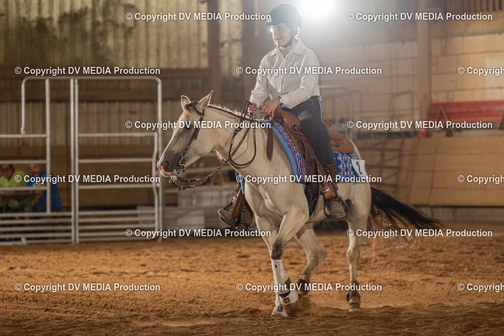 NID02077 | dv-media-shop - Realisiert mit Pictrs.com