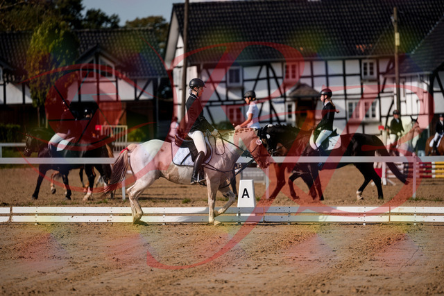 2026_10_03_Siefer-Hof_114744_Z63_26964952 | Professionelle Reitsport-, Turnier- und Eventfotografie von Robert Broda. Galerien mit ausgewählten und bearbeiteten Bildern direkt online ansehen und bestellen.