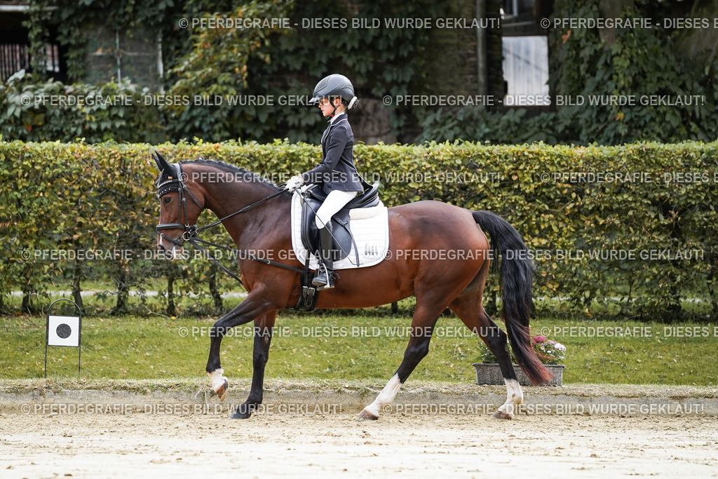 DSC05398 | Pferdegrafie