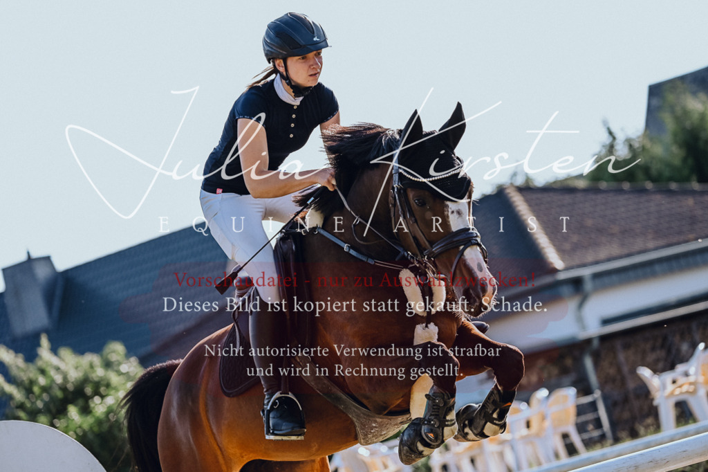 DSC_2885 | Pferde- und Turnierfotografie in Westsachsen. Pferdeportraits, Auftragszeichnungen und intuitive Kunst.