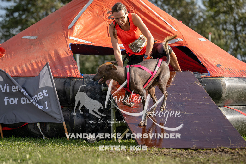 1413-93777 | kk-dogfotos