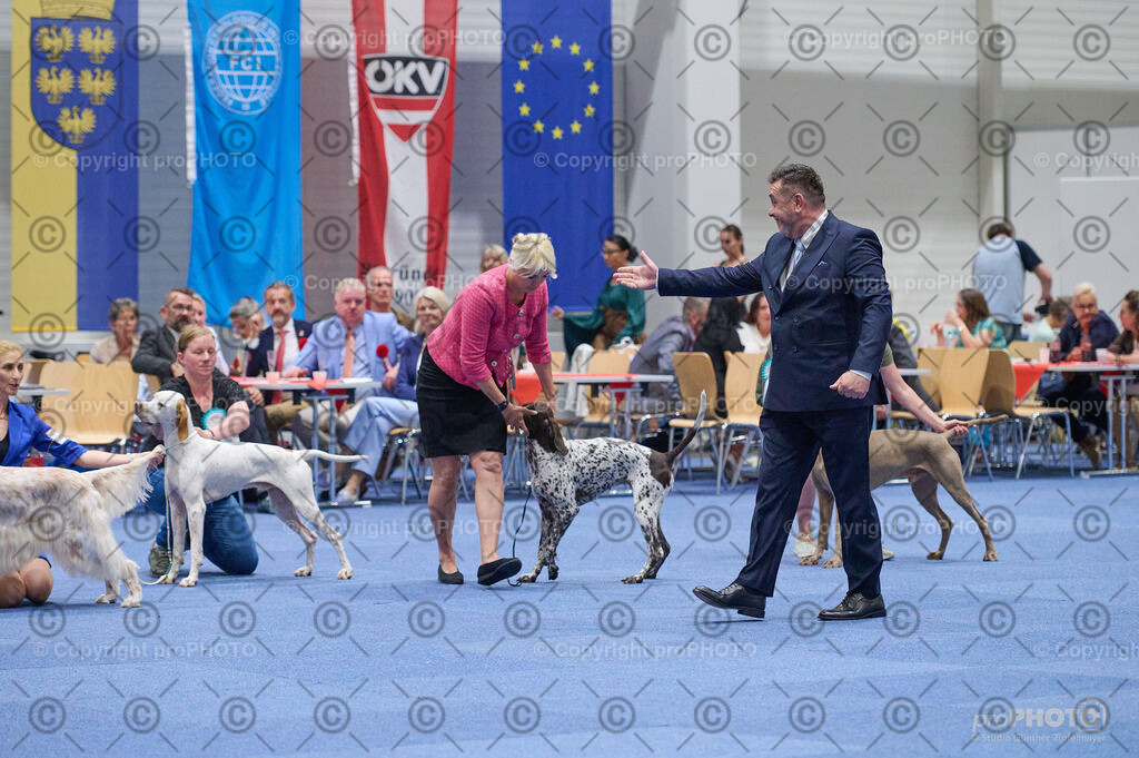 202406_ÖKV-IHA-Tulln24_DSC_3114 | proPHOTO - Realisiert mit Pictrs.com