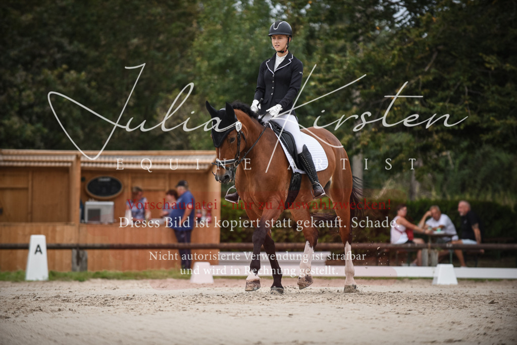 DSC_8255 | Pferde- und Turnierfotografie in Westsachsen. Pferdeportraits, Auftragszeichnungen und intuitive Kunst.