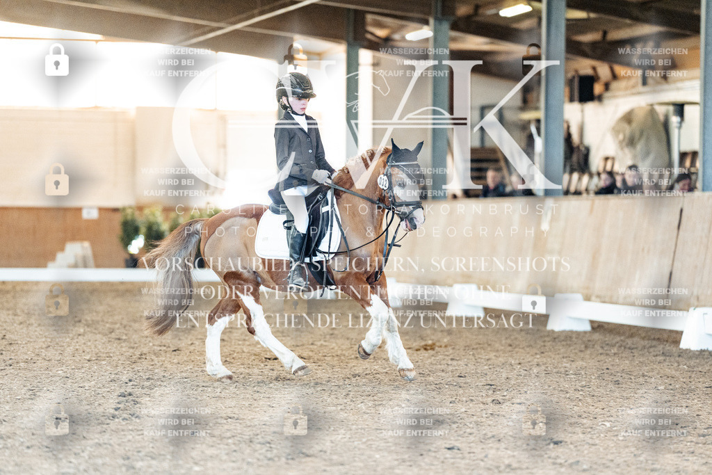 CK907289 | Turnierfotografie Pferdefotografie Trier Rheinland-Pfalz Pferdesport Reitsport Tierfotografie Sportfotografie Pferdevideo Pferdevideografie Equestrianvideography equestrianphotography  - Realisiert mit Pictrs.com