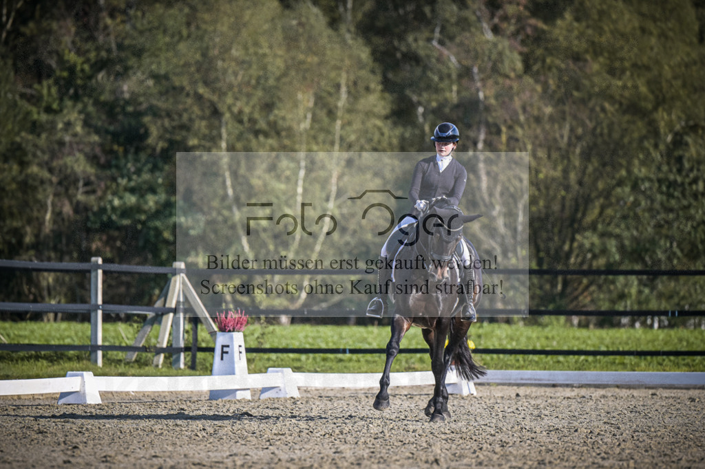 DOS_B852 | Entdecke hochwertige Reitturnierfotos von Foto Oger. Professionell, emotional und authentisch – jetzt Lieblingsmomente im Shop bestellen.Deutschlandweite Turnierfotografie. - Realisiert mit Pictrs.com