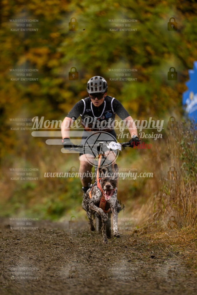 MompixPhotography_ICF_WC_2024_SA_Bike_-26 | PayLife