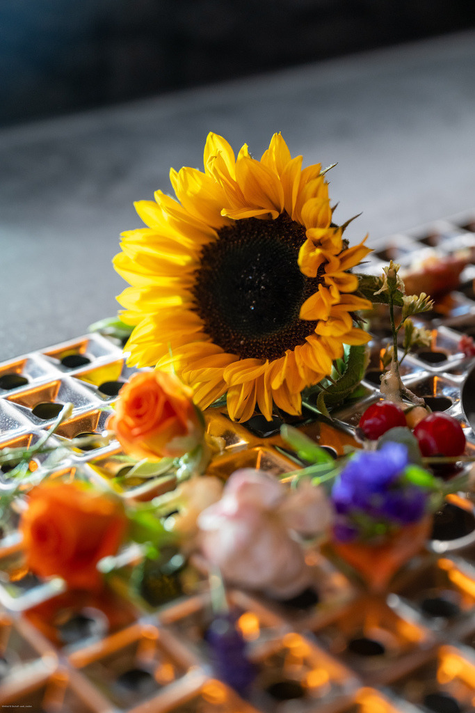 WWB_7843 | <Fotografie> <Video> <Film> <Winfried Bischoff> - Realisiert mit Pictrs.com