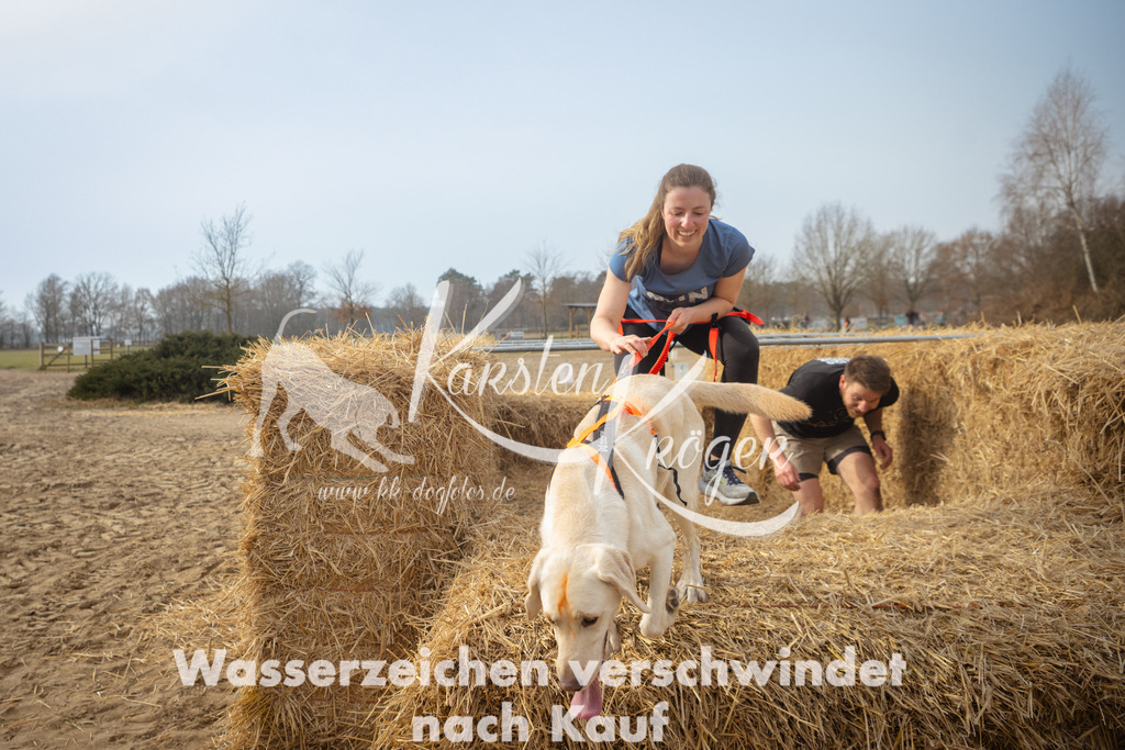 1017_ZZ93677 | kk-dogfotos