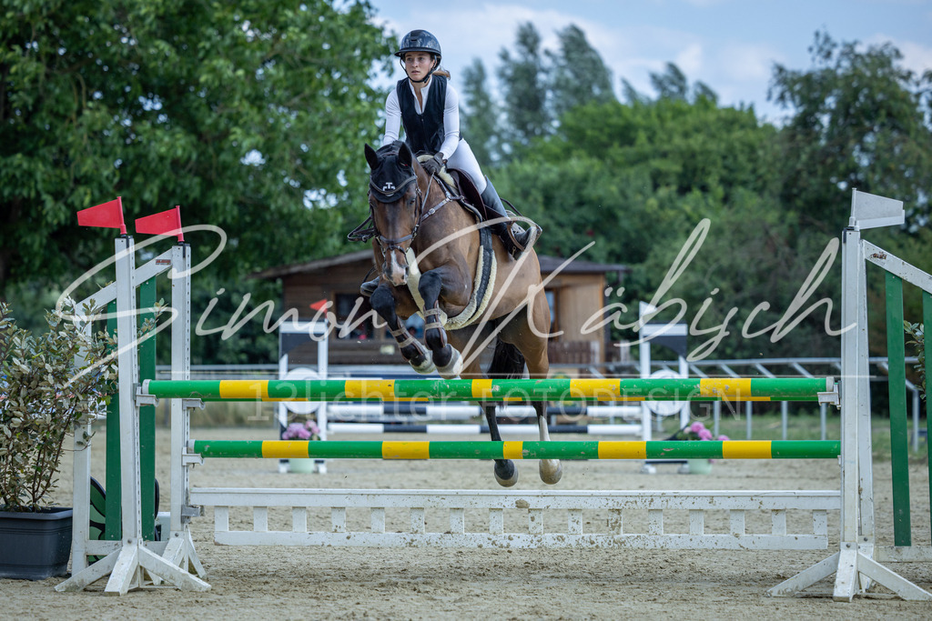 20260704-_3LI2221 | Tierfotografie Pferde, Hunde, Katzen, Haustiere.
Turnierfotografie Reitturniere, Reiten, Springreiten, Dressur in Hanau, dem Main-Kinzig-Kreis und dem Rhein-Main- Gebiet um Frankfurt