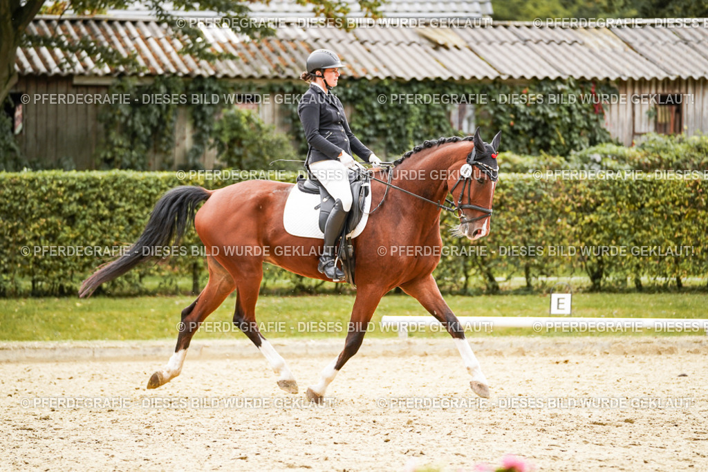 DSC03284 | Pferdegrafie