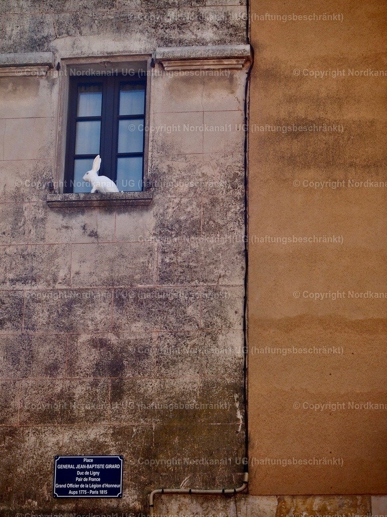 PA272100-1 | OLYMPUS DIGITAL CAMERA          - Realisiert mit Pictrs.com