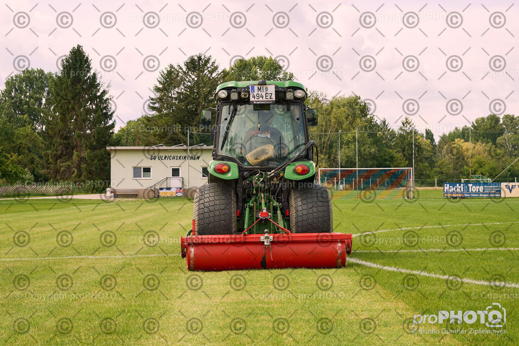 202507_Rernböck-Rasen_NZ9_1412 | proPHOTO - Realisiert mit Pictrs.com