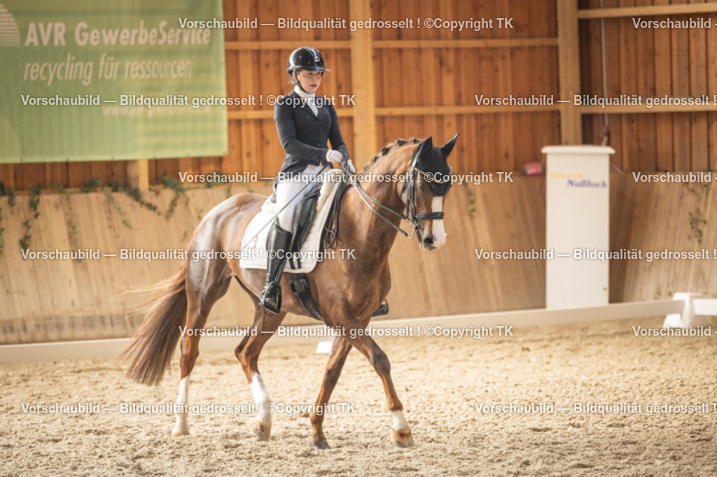 _D5A9464 | Emotionale Pferde- & People-Fotografie rund um Heidelberg, Leimen & Umgebung. Natürliche Fotos von Pferd, Mensch & Familie. Jetzt Termin sichern!