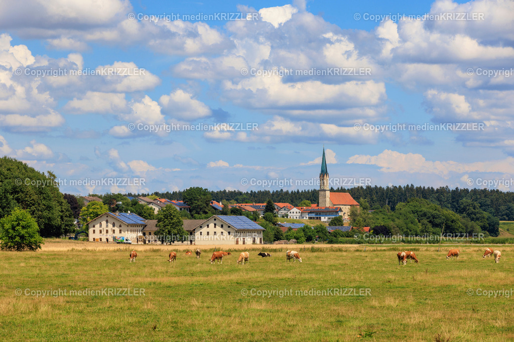 Taufkirchen | medienkrizzler - Realisiert mit Pictrs.com