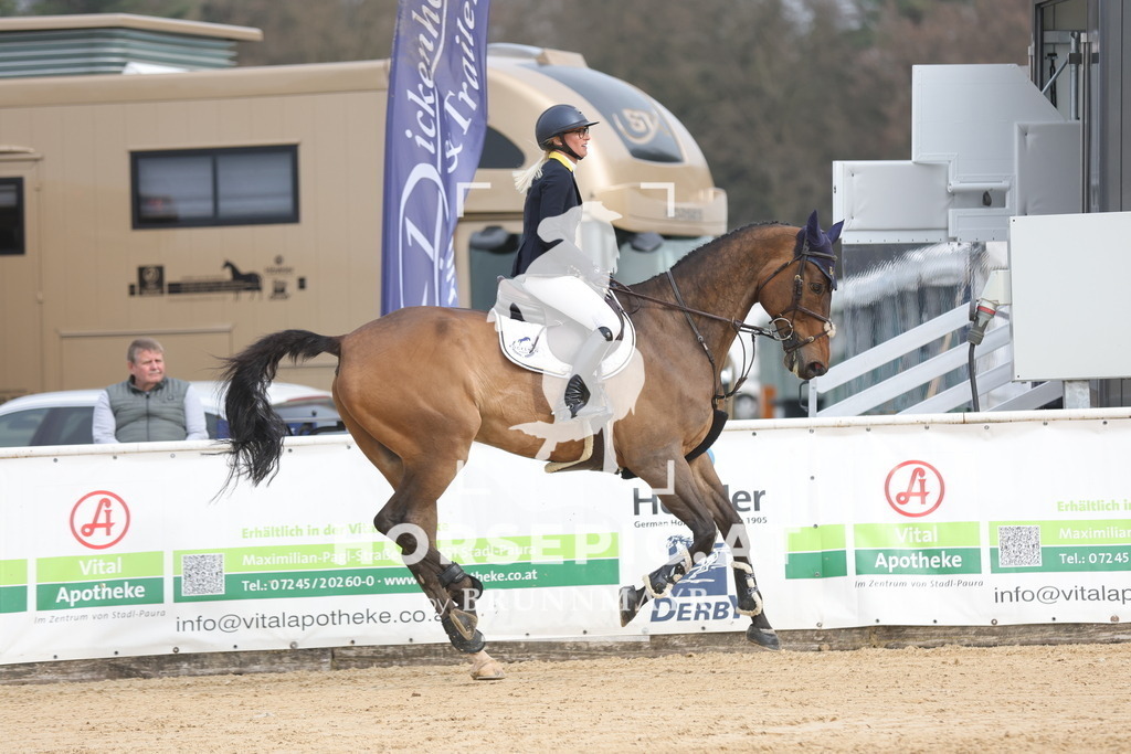 0P6A7236 | Willkommen bei Brunnmayr - Design & Fotografie – Ihrem Spezialisten für Reitturniere und Pferdeveranstaltungen in Oberösterreich, Salzburg und Bayern! Seit über 17 Jahren sind wir leidenschaftlich dabei.