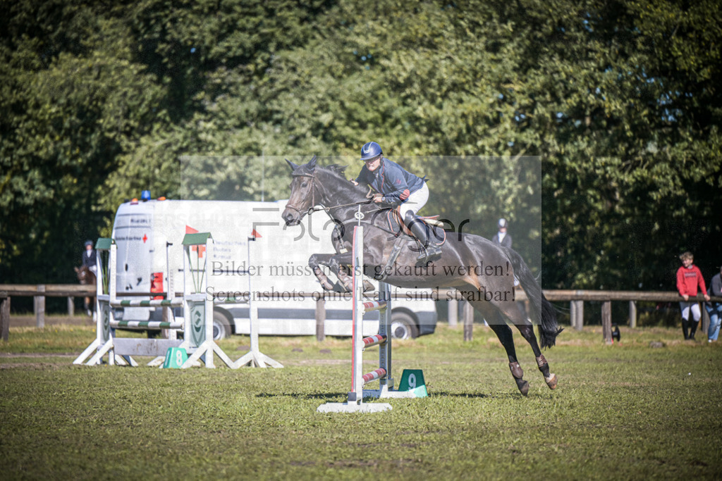 DOS_0084 | Entdecke hochwertige Reitturnierfotos von Foto Oger. Professionell, emotional und authentisch – jetzt Lieblingsmomente im Shop bestellen.Deutschlandweite Turnierfotografie. - Realisiert mit Pictrs.com