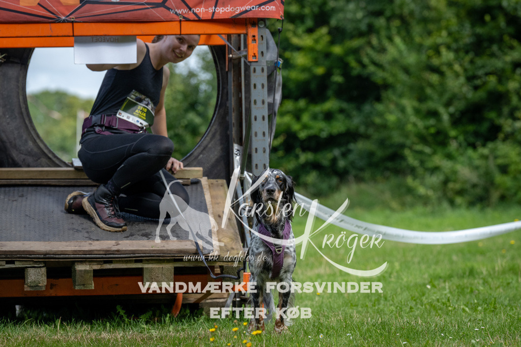 1138_ZZ92895 | kk-dogfotos
