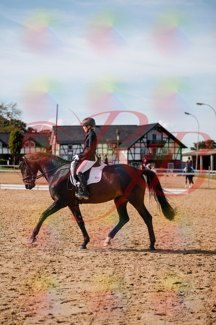 2026_10_03_Siefer-Hof_133502_Z63_93983622 | Professionelle Reitsport-, Turnier- und Eventfotografie von Robert Broda. Galerien mit ausgewählten und bearbeiteten Bildern direkt online ansehen und bestellen.
