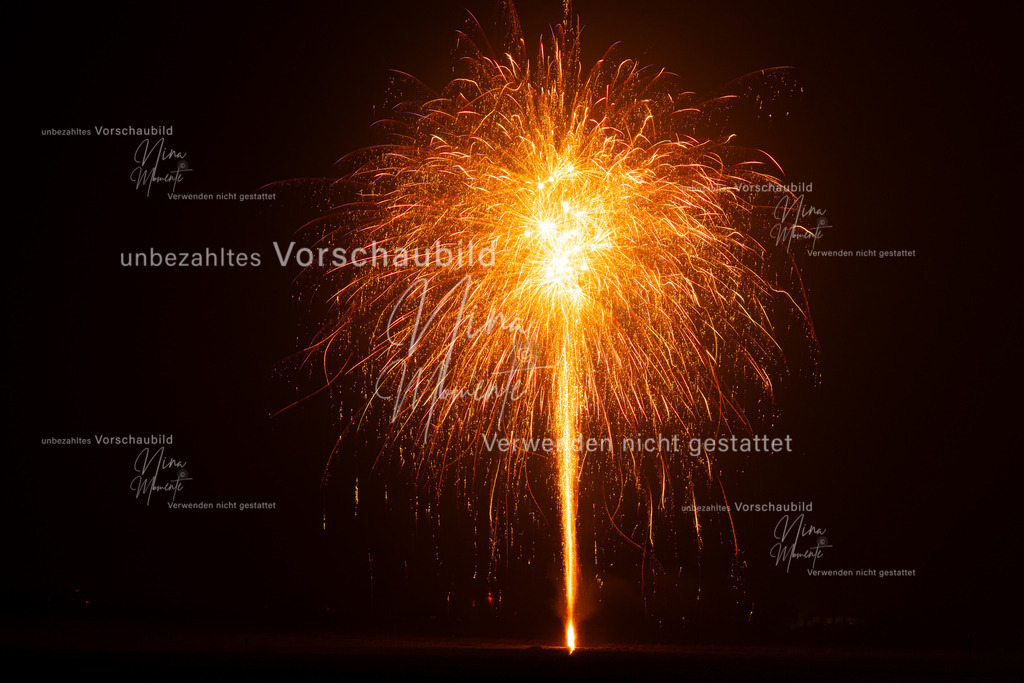 _16A2200-1 | Einzigartige Fotos von Hunden & Menschen –Actionfotos, Portraits, Vereinsaufnahmen & Paarshootings – authentisch, lebendig & mit Herz.