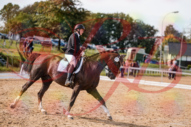 2026_10_03_Siefer-Hof_132348_Z63_85750831 | Professionelle Reitsport-, Turnier- und Eventfotografie von Robert Broda. Galerien mit ausgewählten und bearbeiteten Bildern direkt online ansehen und bestellen.