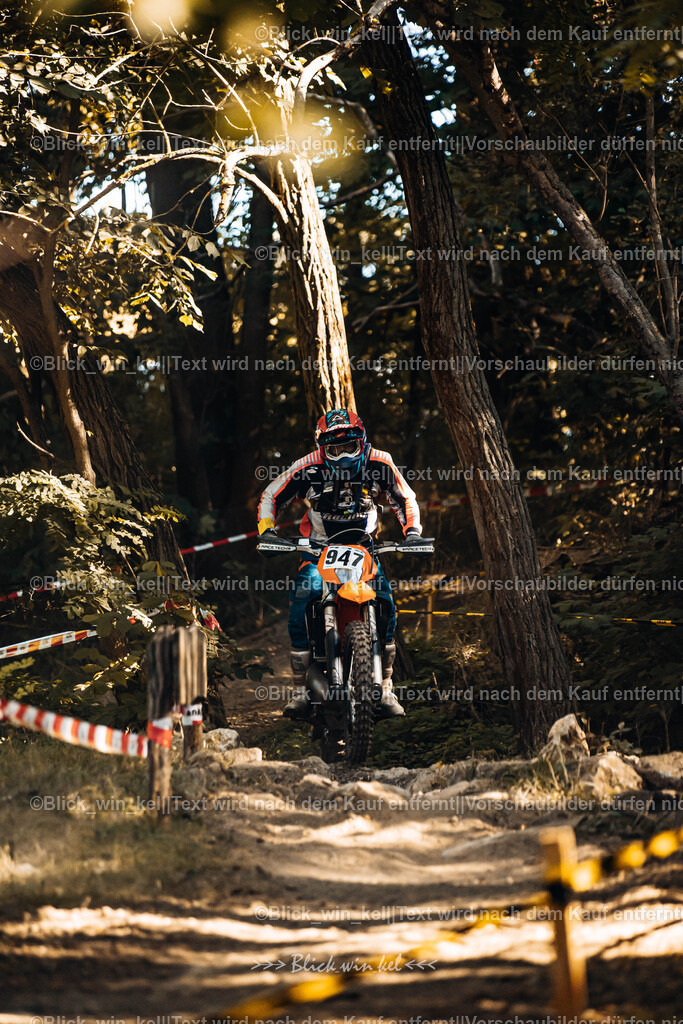 E68A5458 | blick_win_kel