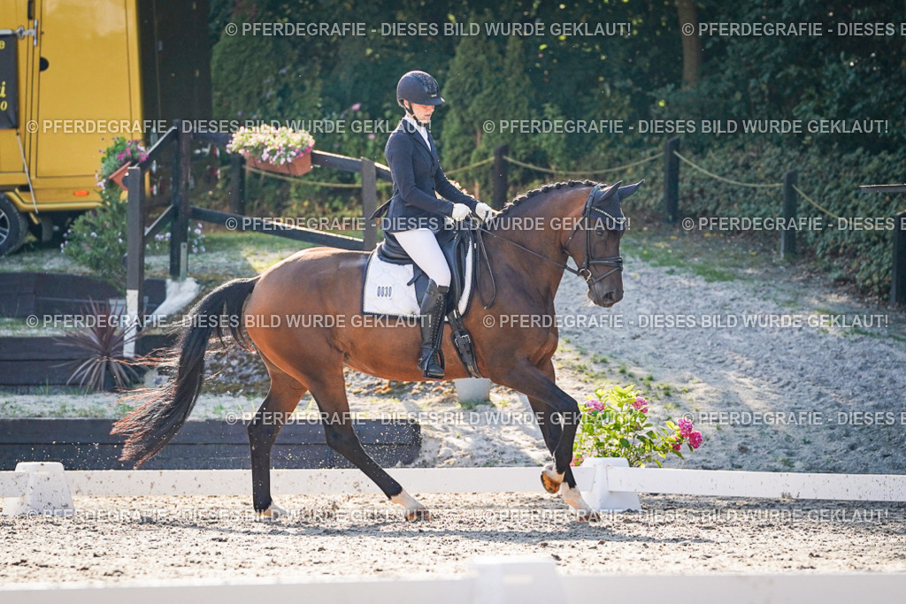 DSC08932 | Pferdegrafie