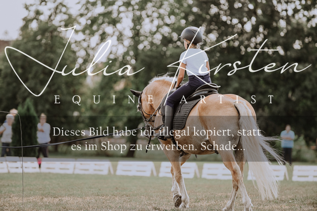 DSC_7701 | Pferde- und Turnierfotografie in Westsachsen. Pferdeportraits, Auftragszeichnungen und intuitive Kunst.