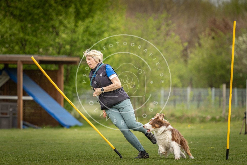 Pfotenfotografie_DV3A7435 | Hundefotografie, Tierfotograf, Pfotenfotografie, Fotoshooting Hund, Hunde Portrait, Hundesport, Hundeportraits, Heideshooting, Hunde, Sportfotograf, Hundefotograf, Turnierhundsport, THS,  - Realisiert mit Pictrs.com
