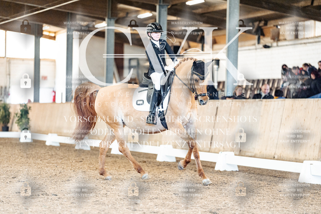 CK909680 | Turnierfotografie Pferdefotografie Trier Rheinland-Pfalz Pferdesport Reitsport Tierfotografie Sportfotografie Pferdevideo Pferdevideografie Equestrianvideography equestrianphotography  - Realisiert mit Pictrs.com