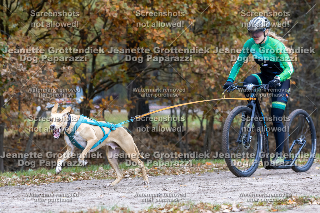 Dog Paparazzi - SD CaniX Championship 2025-566 | Dog Paparazzi Jeanette Grottendiek Fotografie & Videografie - Realisiert mit Pictrs.com