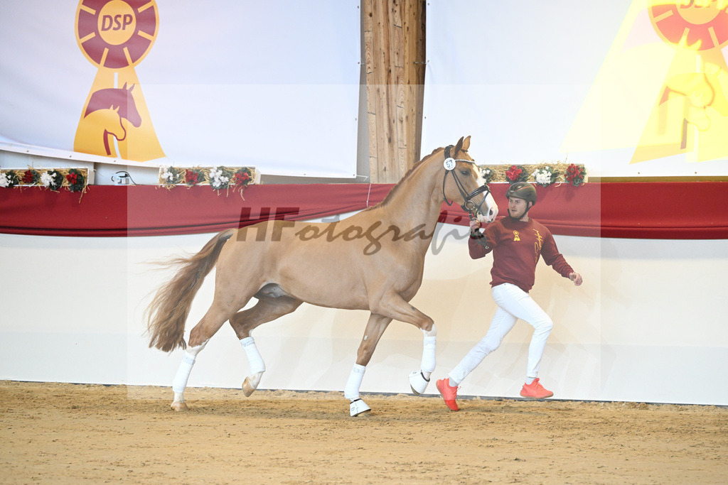 Kat-Nr. 57 Fuerst Samarant_Beckmann_1231427 | hf-fotografie - Realisiert mit Pictrs.com