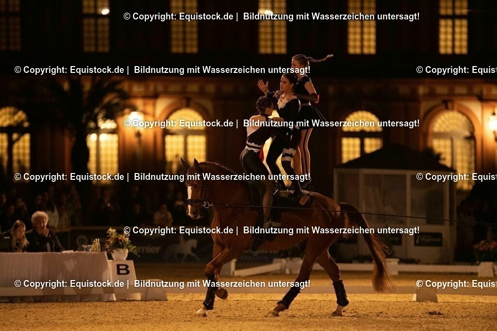 20230527_Voltigieren_NASPA_Flutlicht_1055 | equistock