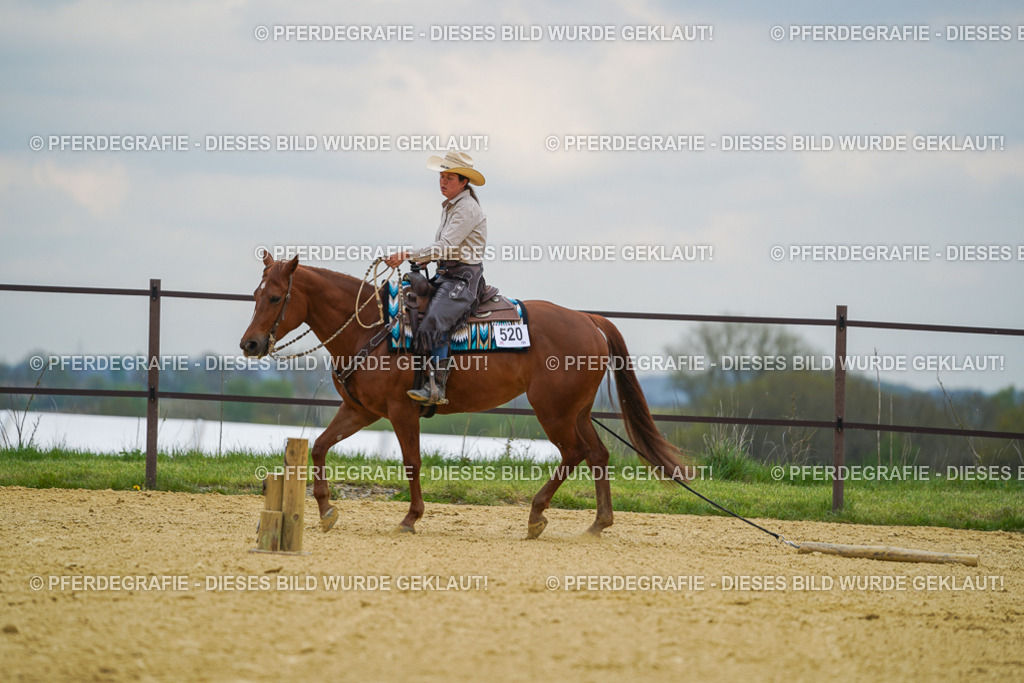 DSC07255 | Pferdegrafie