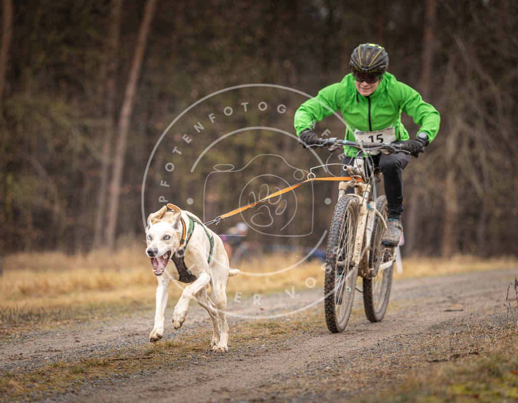 DV3A3278 | Hundefotografie, Tierfotograf, Pfotenfotografie, Fotoshooting Hund, Hunde Portrait, Hundesport, Hundeportraits, Heideshooting, Hunde, Sportfotograf, Hundefotograf, Turnierhundsport, THS,  - Realisiert mit Pictrs.com