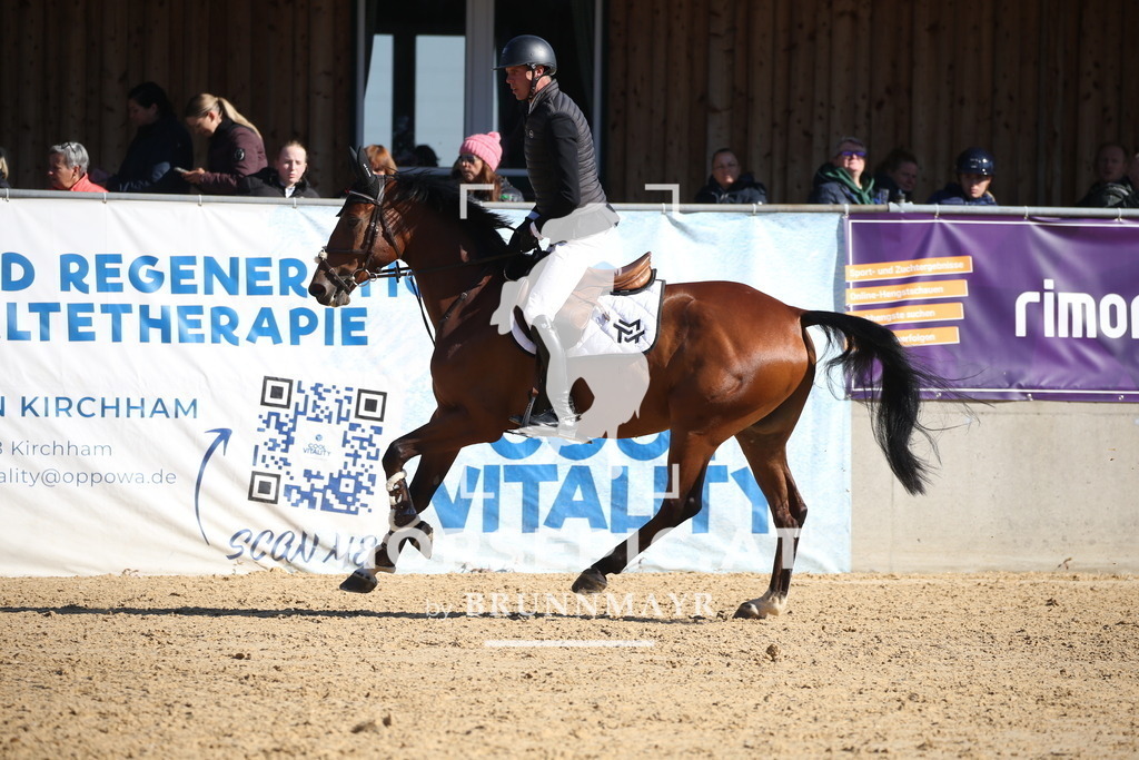 DL2Q1813 | Willkommen bei Brunnmayr - Design & Fotografie – Ihrem Spezialisten für Reitturniere und Pferdeveranstaltungen in Oberösterreich, Salzburg und Bayern! Seit über 17 Jahren sind wir leidenschaftlich dabei.