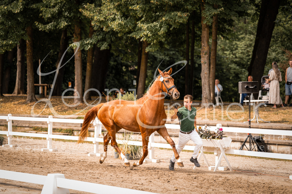 7.Fr00047 | Leoni Ertmer Photography - Realisiert mit Pictrs.com