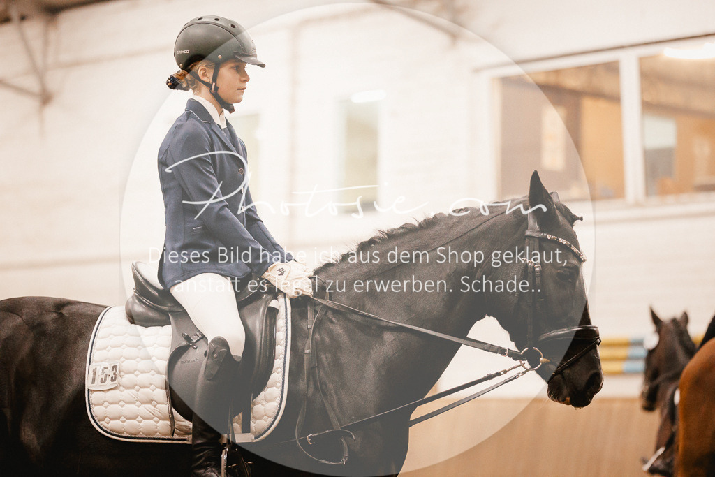 3I6A3857 | Stimmungsvolle Portraits und Reitsportfotografie im Ruhrgebiet und im Münsterland.

Pferdefotografie, Hundefotografie, Tierfotografie, Reportagen, Portraits von Tier und Mensch, Turnierfotografie in Bochum, Recklinghausen, Marl, Haltern am See, Dülmen.. - Realisiert mit Pictrs.com
